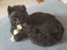Chat peluche nauticalia d'occasion  Châteauroux