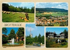 Brotterode schafherde roh gebraucht kaufen  Deutschland