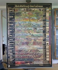 Vintage schulwandkarte entwick gebraucht kaufen Vintage schulwandkarte entwick gebraucht kaufen  Deutschland