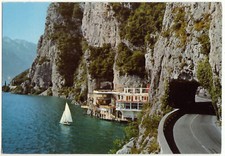 soffritti trota usato soffritti trota usato Isola Vicentina