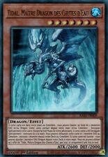Tidal master dragon d'occasion  Expédié en Belgium