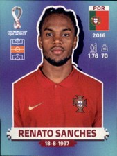 Panini 2022 qatar gebraucht kaufen  Dreieich