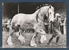 Cpsm 1960 faune d'occasion  Bourg-en-Bresse