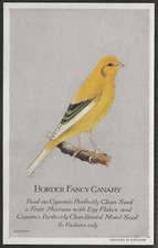 Capern cage birds for sale  COLNE