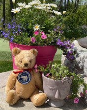 Antique vtg stuffed for sale  Falmouth