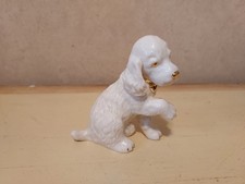 lenox dog for sale lenox dog for sale Ewing