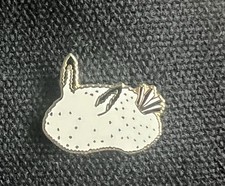 Nudibranch sea slug for sale  LITTLEHAMPTON