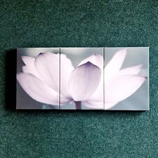 Flower canvas wall for sale  WHITCHURCH