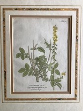 Antique 1800 hand for sale  RAMSGATE
