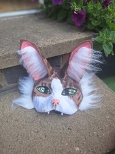 Lincoln cat therian for sale  TIPTON
