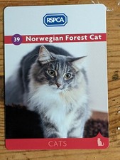 Rspca cats card for sale  LONDON