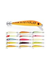 Totanara tubertini seika usato Totanara tubertini seika usato  Terracina