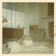 1967 snapshot midcentury for sale  San Diego