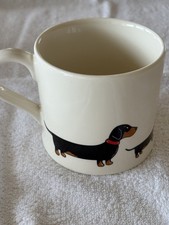 dachshund for sale dachshund for sale NEWCASTLE UPON TYNE