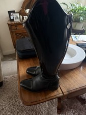 Celeris black dressage for sale  NEWMARKET