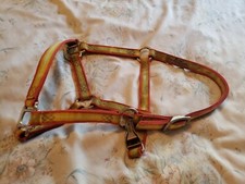 Accent weanling pony for sale  Crosslake