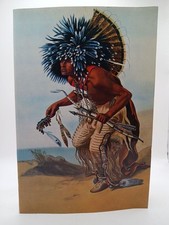 Indianer nordamerikas schätze gebraucht kaufen  Buttenwiesen