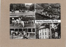 reitplatz gebraucht kaufen  Deutschland