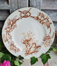 Ancienne assiette marron d'occasion  Le Poinçonnet