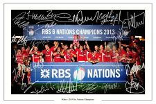 Wales rugby 2013 for sale  UK