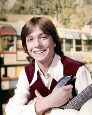Partridge family david for sale  San Clemente