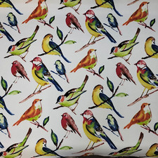 Bluebird fiesta berkshire for sale  Concord