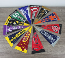 College mini pennant for sale  Waterford