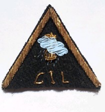 Distintivo grado gil usato  Italia