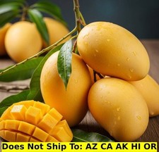 Mallika mango fruit for sale  Homestead