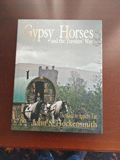 Gypsy horses travelers for sale  CARLISLE