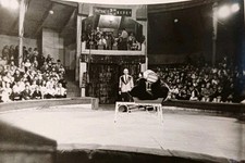 Zirkus gastspiel leipzig gebraucht kaufen Zirkus gastspiel leipzig gebraucht kaufen  Schönebeck (Elbe)