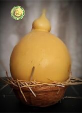 Caciocavallo podolico del usato  San Nicandro Garganico