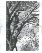 1958 press photo for sale  Memphis