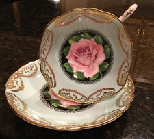 Paragon cabbage rose for sale  Saint Paul