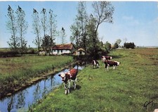 Saint gilles croix d'occasion  France