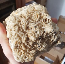 Barite... voltennes petite d'occasion  Expédié en Belgium