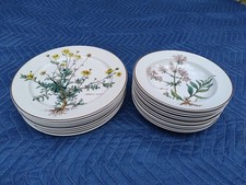 villeroy boch botanica teller gebraucht kaufen  Freiburg im Breisgau