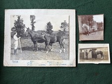 1946 large photograph for sale  BUSHMILLS