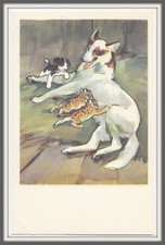 1969 kind dog for sale  Seattle