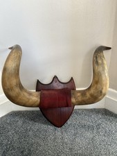 Mounted bulls horns for sale  LISKEARD
