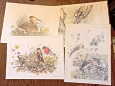 Gravures oiseaux anciennes d'occasion Gravures oiseaux anciennes d'occasion  Veneux-les-Sablons