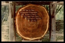 Postcard california redwood for sale  Broomfield
