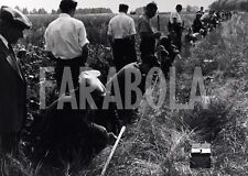Vintage animali brabant usato  Roma