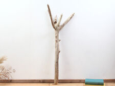 Treibholz astgabel 84cm gebraucht kaufen  Bad Schandau