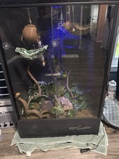 Gecko terrarium for sale  Concord