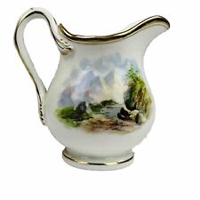 Antique english porcelain for sale  TELFORD