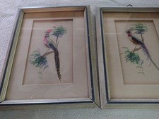 Vintage pair feathercraft for sale  Greene