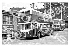 Bus photograph maidstone for sale Bus photograph maidstone for sale  ALFRETON