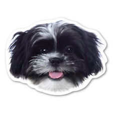 Shih tzu magnet d'occasion  Expédié en Belgium