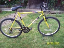 Gents apollo reckless for sale  BRENTWOOD